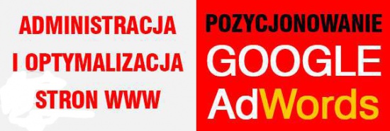 Skuteczna reklama w internecie