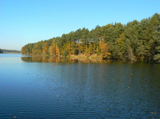 10 ha nad J. Koronowskim.