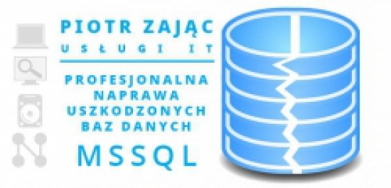 Cryptolocker naprawa zaszyfrowanych baz danych i plików