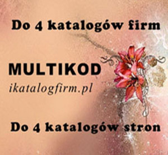 Multikod- wpis Standard do wykorzystania w katalogach firm