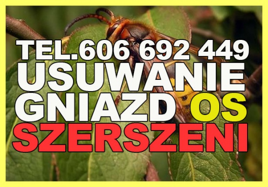 Usuwanie gniazd os, szerszeni - SKUTECZNIE i PROFESJONALNIE / OPOLSZCZYZNA,ŚLĄSK,DOLNYŚLĄSK